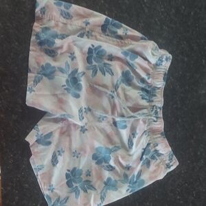 Floral Print Shorts in Blue and Pink